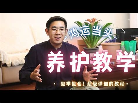 鴻運當頭 植物|鴻運當頭(漢語成語):植物養殖,風水植物,形態特徵,生長習性,種類識。